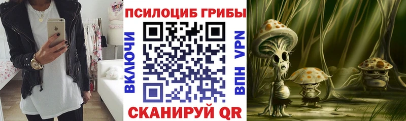цены наркотик  Гаврилов Посад  OMG зеркало  darknet Telegram  Псилоцибиновые грибы Cubensis 